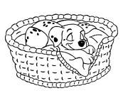 coloriage les 101 dalmatiens le chiot dort dans son panier